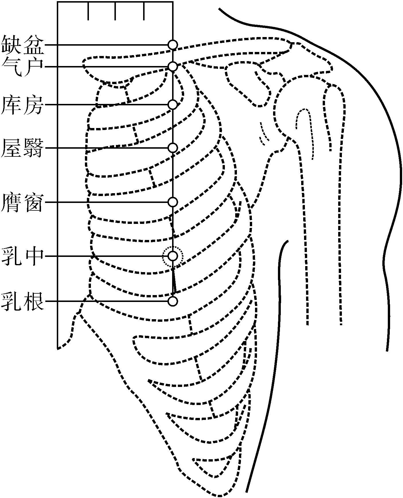 定位  在胸部